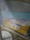 Smart tv Samsung serie 8 d 43 en 1200cuc