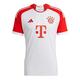 fake Bayern Munich kit 2023/2024