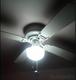 -VENTILADOR DE TECHO LITTLETON 42 PULGADAS- 78314892