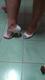 Tacones de vestir